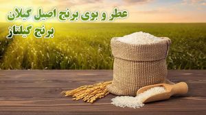 دلیل عطر و بوی برنج اصیل گیلان