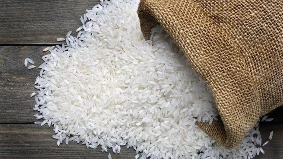 بهترین برنج‌های ایرانی؛ راهنمای کامل شناخت، مقایسه و انتخاب