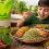 طرز تهیه سبزی پلو با ماهی