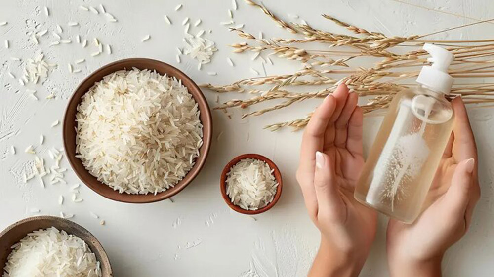 روغن سبوس برنج، از تولید تا روغن کشی