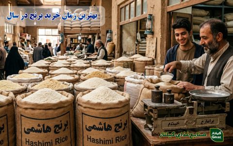 بهترین زمان خرید برنج در سال