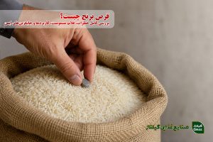 قرص برنج چیست؟