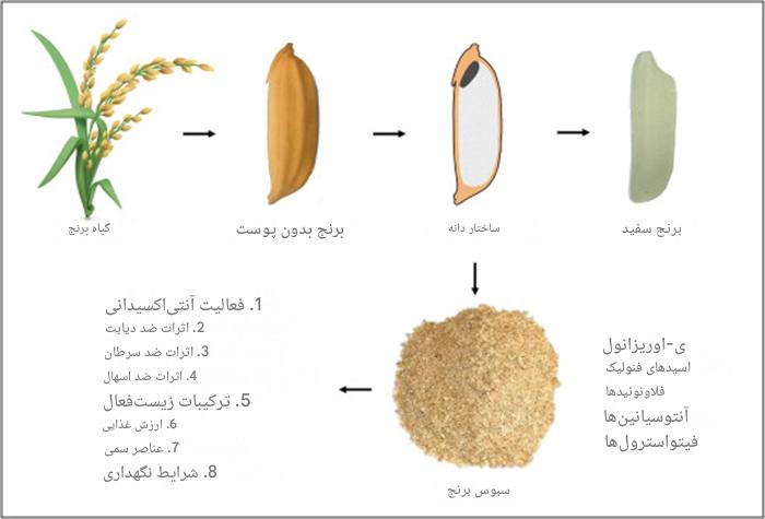 تأثیر مصرف سبوس برنج بر دیابت