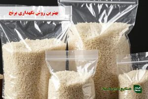بهترین روش نگهداری برنج؛ راهنمای کامل افزایش ماندگاری برنج خام در خانه و انبار
