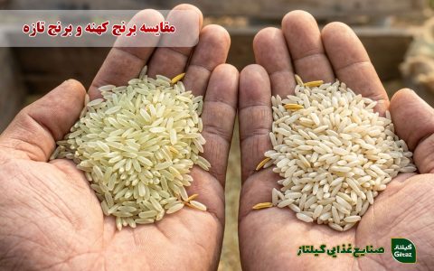 مقایسه برنج کهنه و برنج تازه