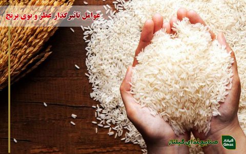 عوامل تاثیرگذار عطر و بوی برنج