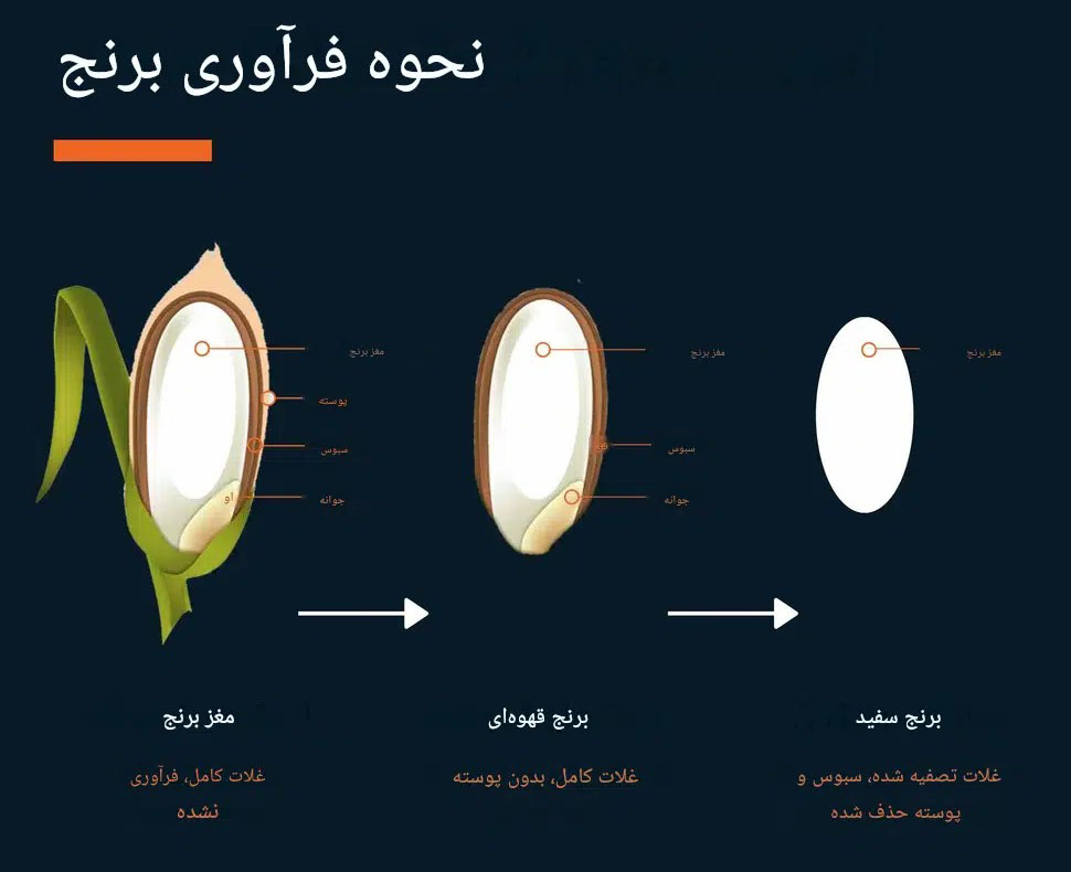 تشخیص برنج قهوه ای اصل