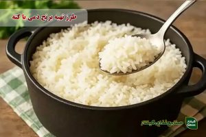 طرز تهیه برنج دمی یا کته