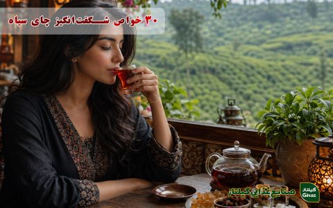 30 خواص شگفت‌انگیز چای سیاه برای سلامتی، پوست و مو؛ از لاغری تا تقویت مو