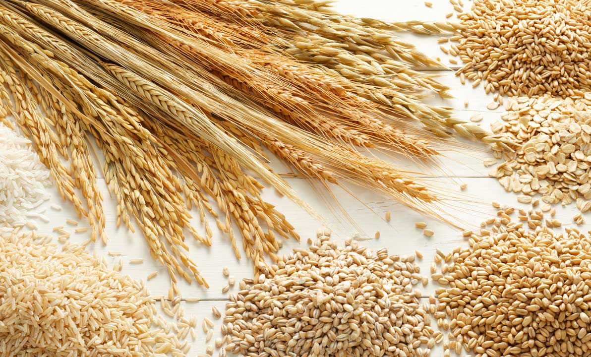 حبوبات و غلات گیلتاز