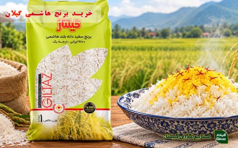 خرید برنج هاشمی گیلان؛ بهترین برنج اصل و مرغوب شمال
