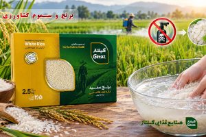 برنج و سموم کشاورزی؛ آیا شست‌وشو برنج می‌تواند بقایای سموم را کاهش دهد؟