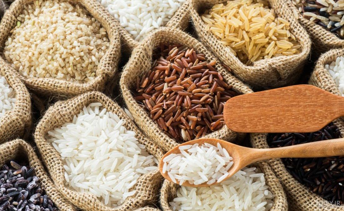 انواع برنج گیلان؛ معرفی بهترین برنج‌های گیلانی از هاشمی تا دم‌سیاه