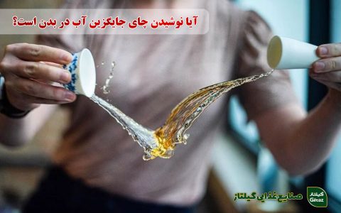 آیا نوشیدن چای جایگزین آب در بدن است؟ فواید چای اصل گیلان و روش صحیح مصرف آن