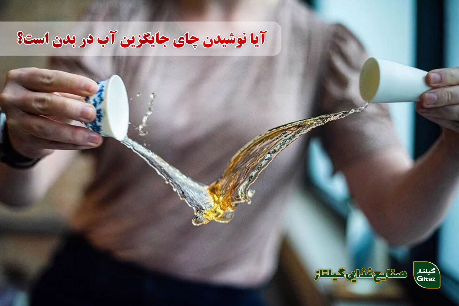 آیا نوشیدن چای جایگزین آب در بدن است؟ فواید چای اصل گیلان و روش صحیح مصرف آن